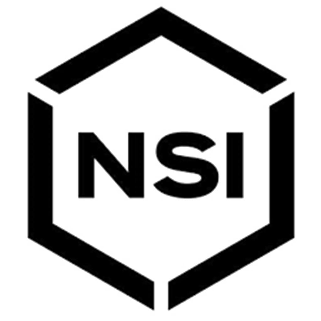 nsi logo