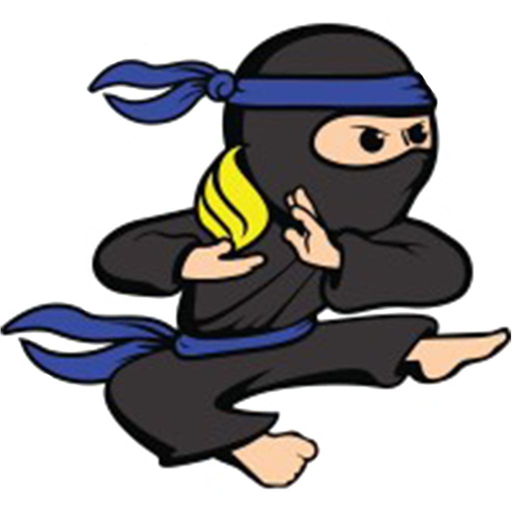 pro ninja